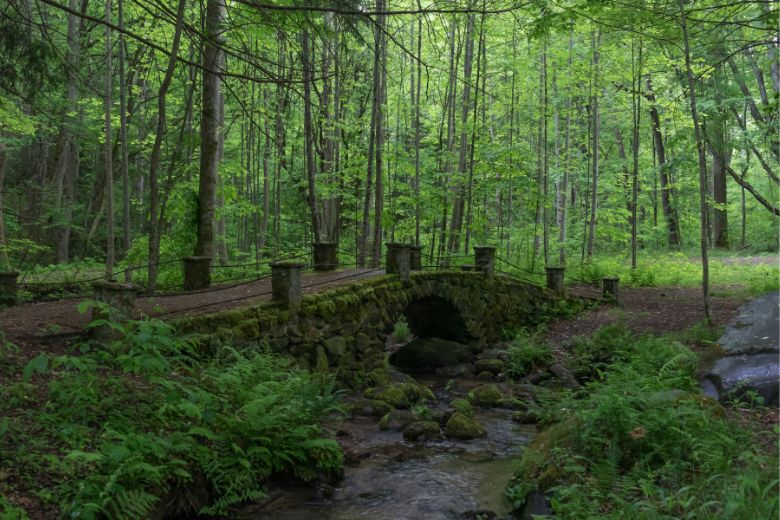 How to Find the Troll Bridge in the Smoky Mountains